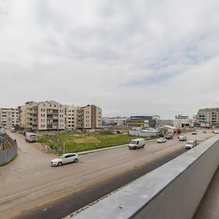 Lovely 3 Bdrm Apartment Close To Everything *